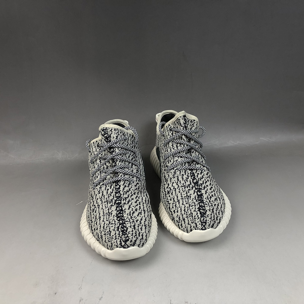 turtle dove shoes