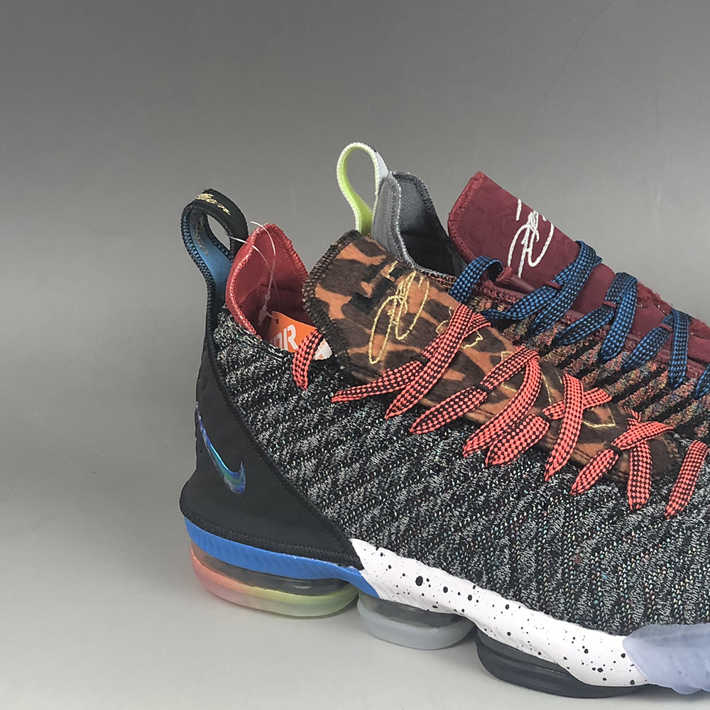 lebron 16 all color
