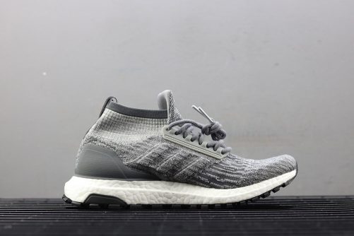 ultra boost all terrain reigning champ