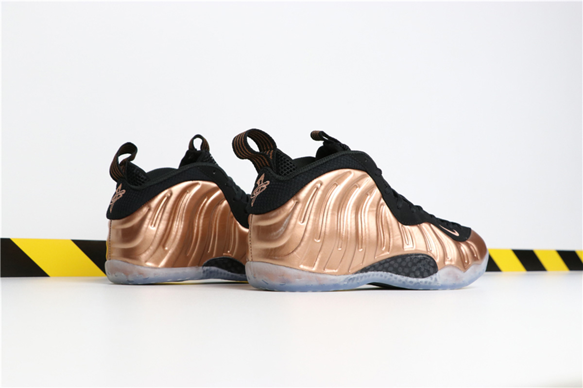 Nike Air Foamposite One “Copper” 314996 