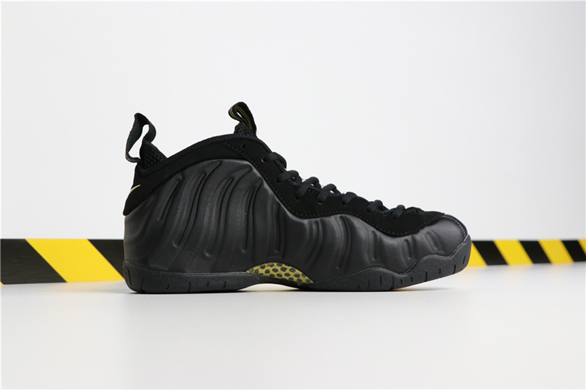 november 17 foamposite