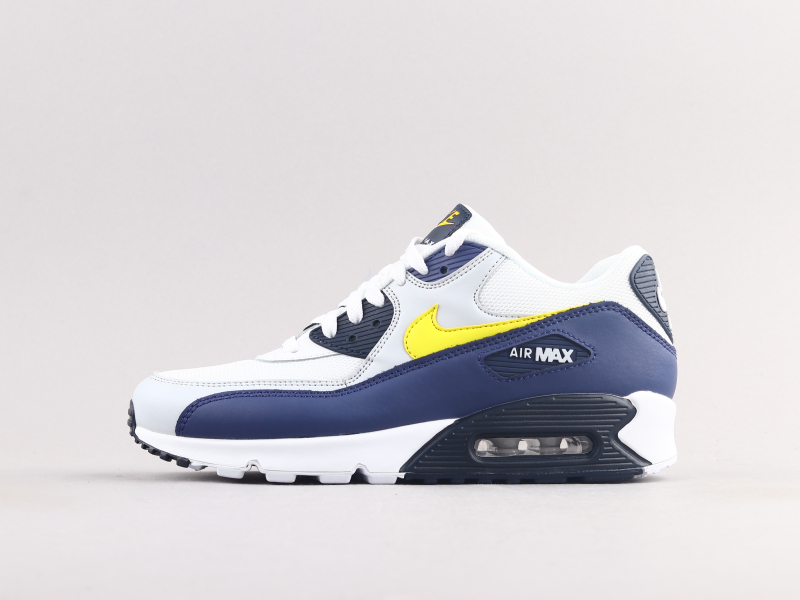 nike air max 90 blue recall