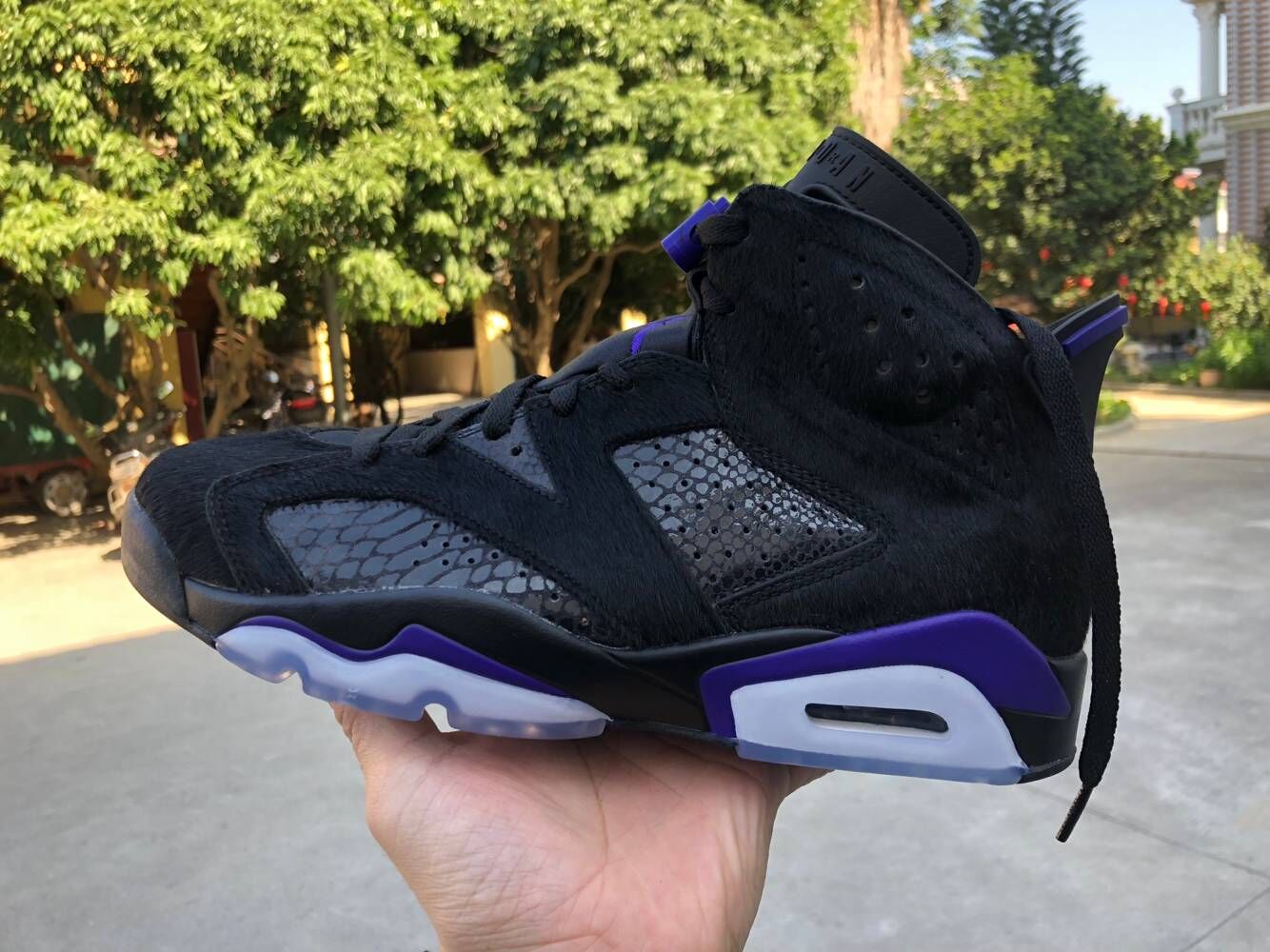 jordan 6 pony hair