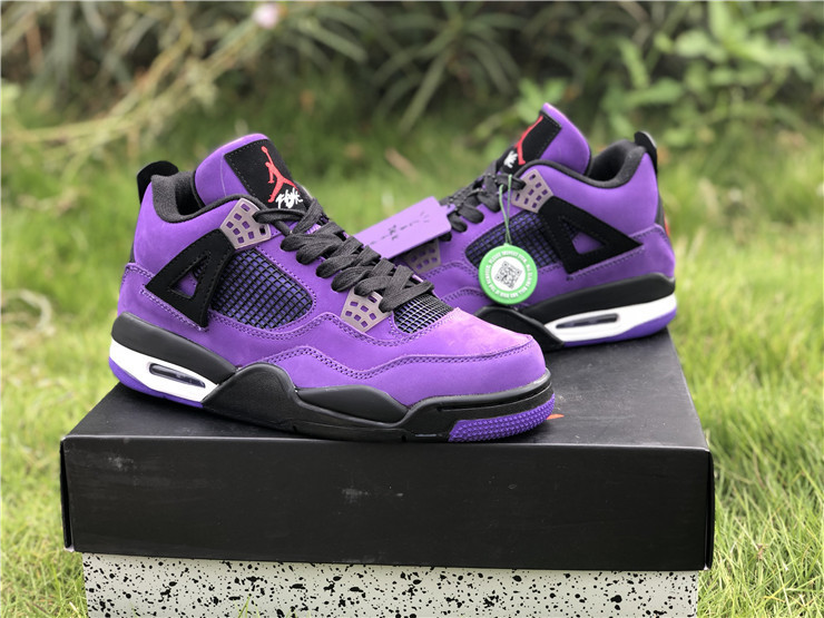purple jordan 10