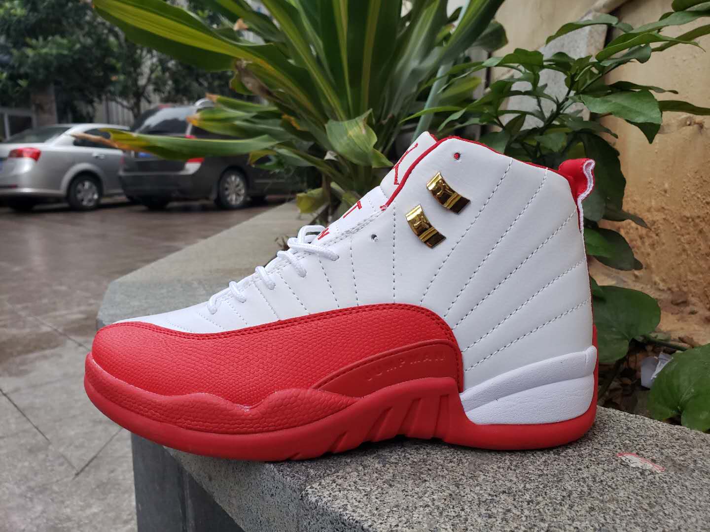 jordan 12 red and black