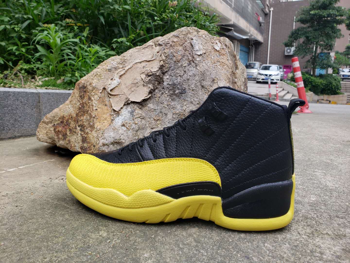 jordan 12 yellow and black for sale