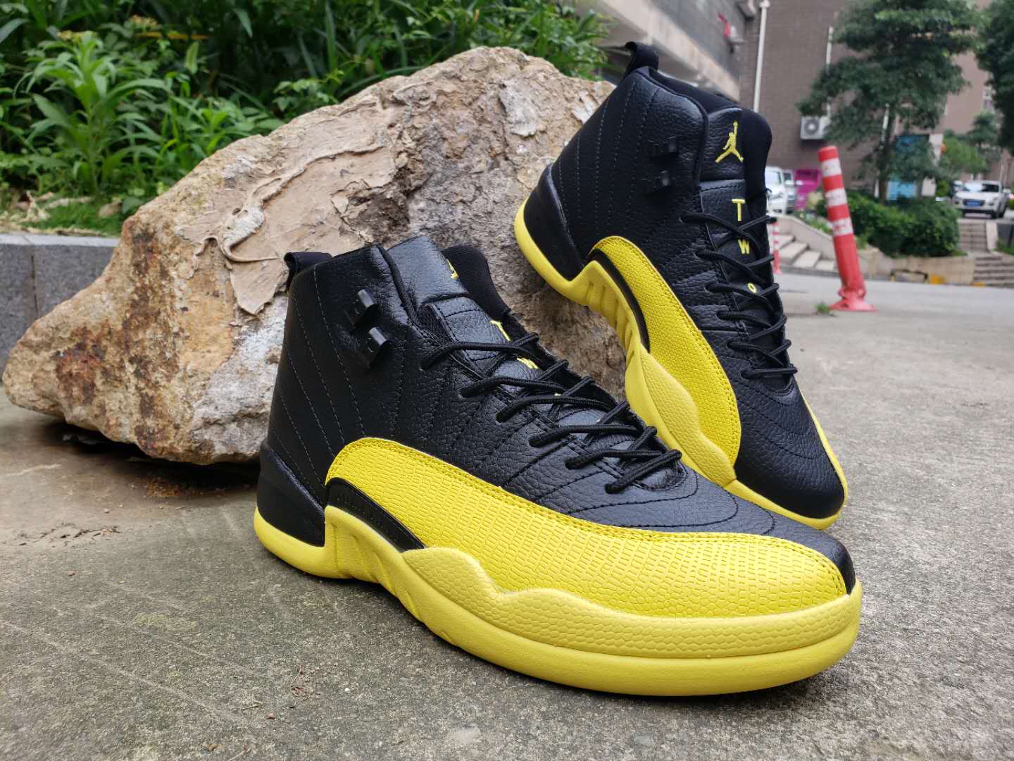 jordan 12 yellow and black for sale