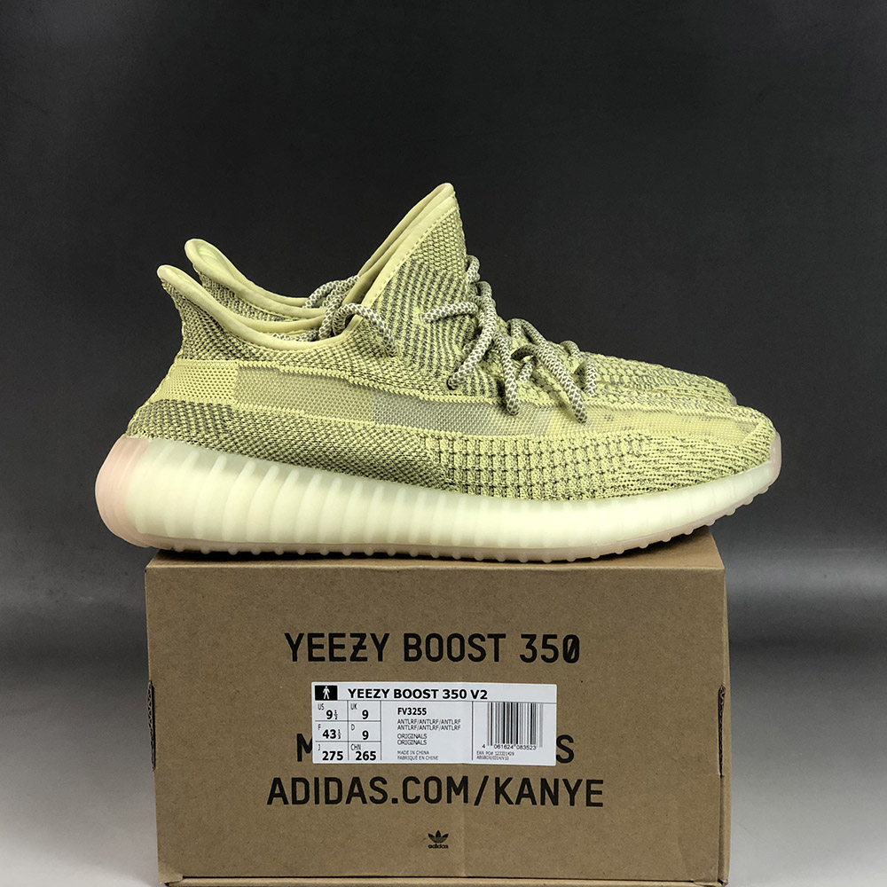 yeezy 350 antlia