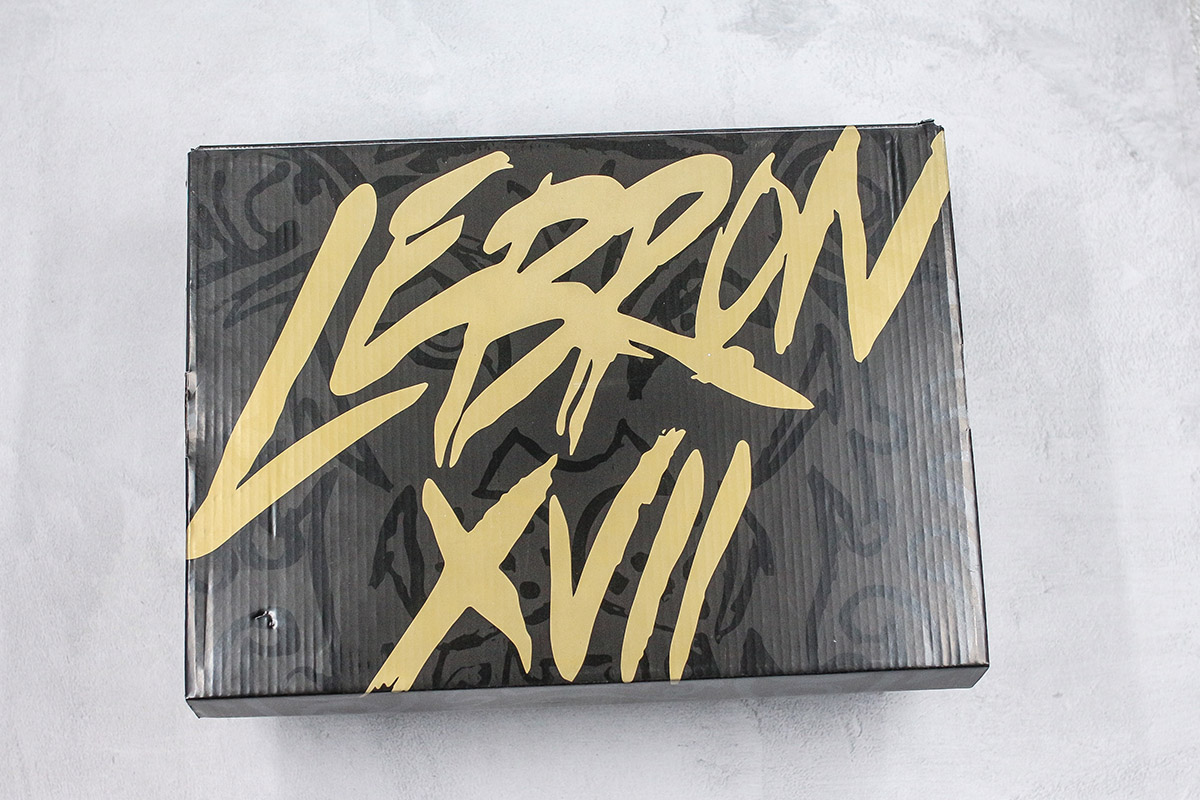 lebron 17 logo