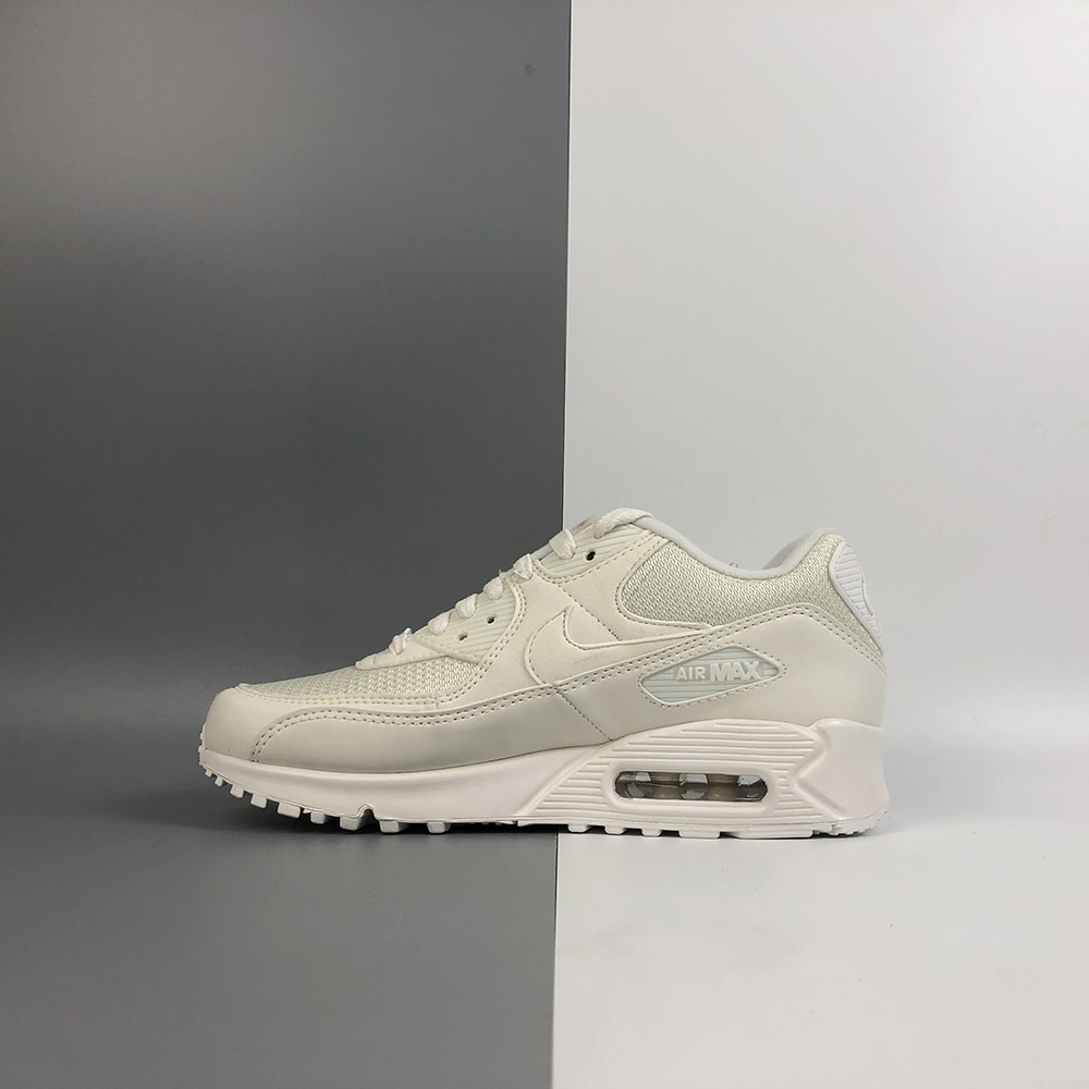 air max 90 30th anniversary sail