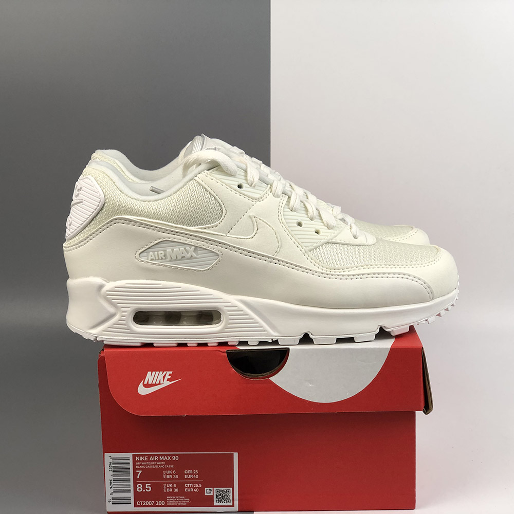 air max 90 nrg 30th anniversary sail