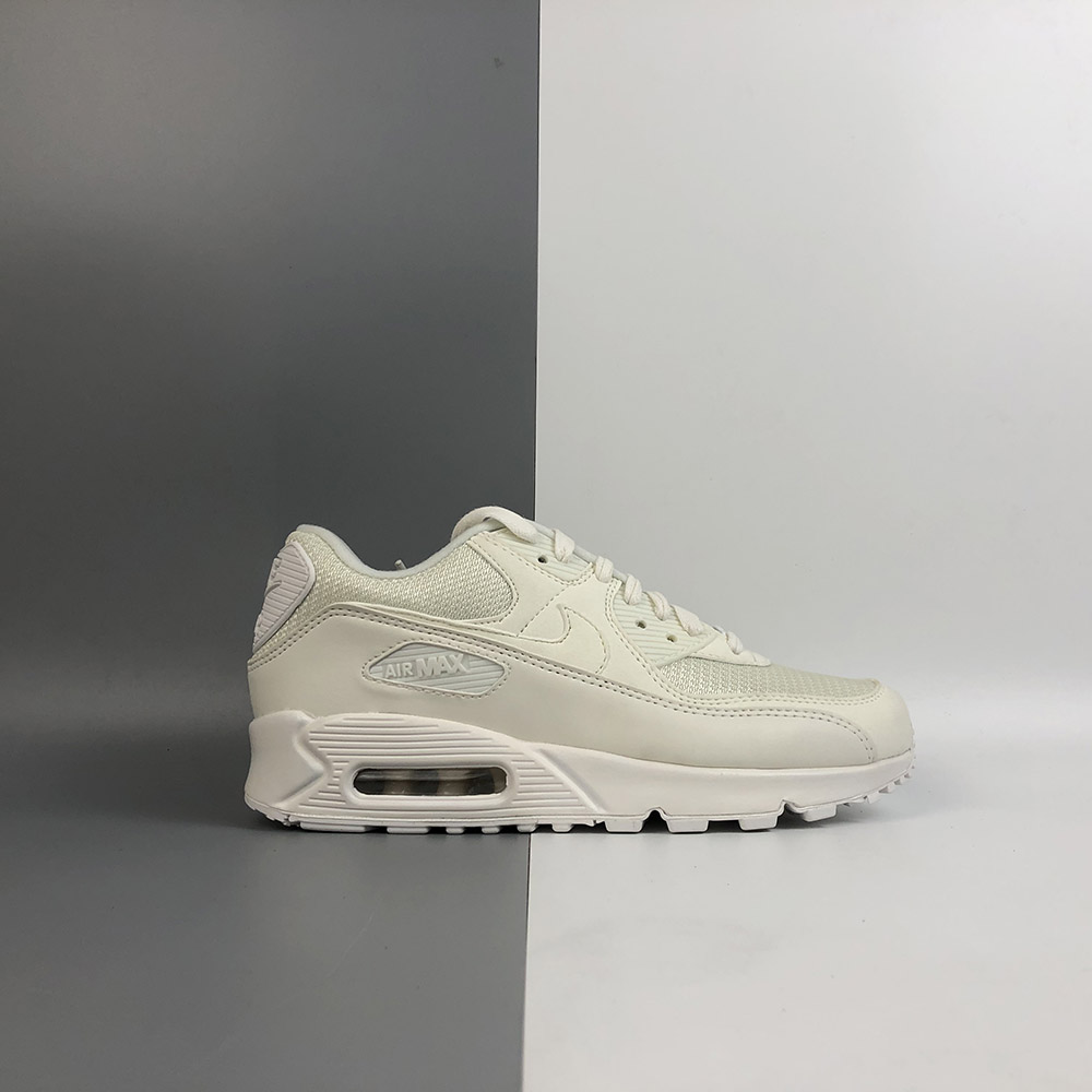 air max 90 30th anniversary sail