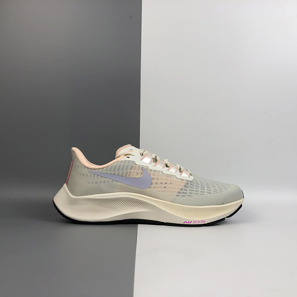 pegasus nike 2018