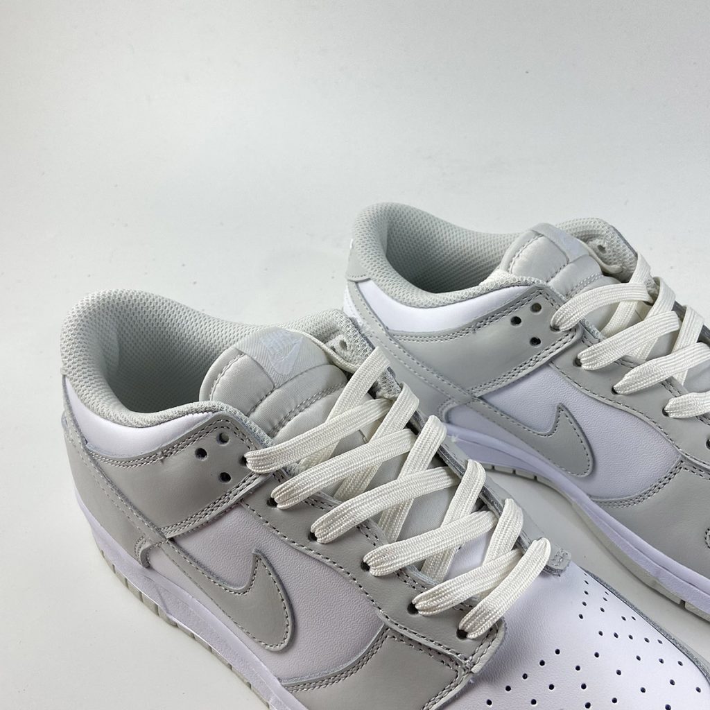 photon nike dunks