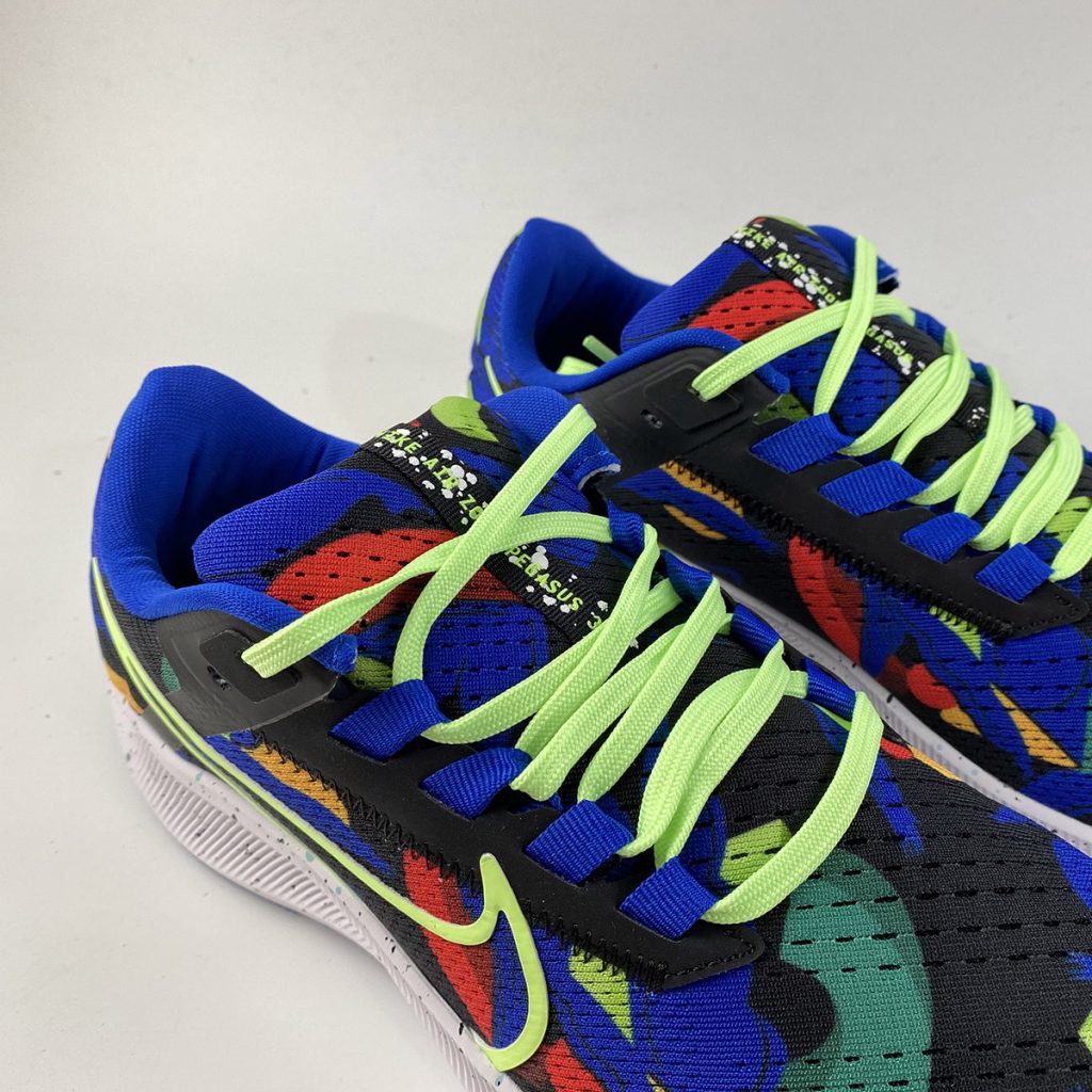 pegasus 2 gore tex