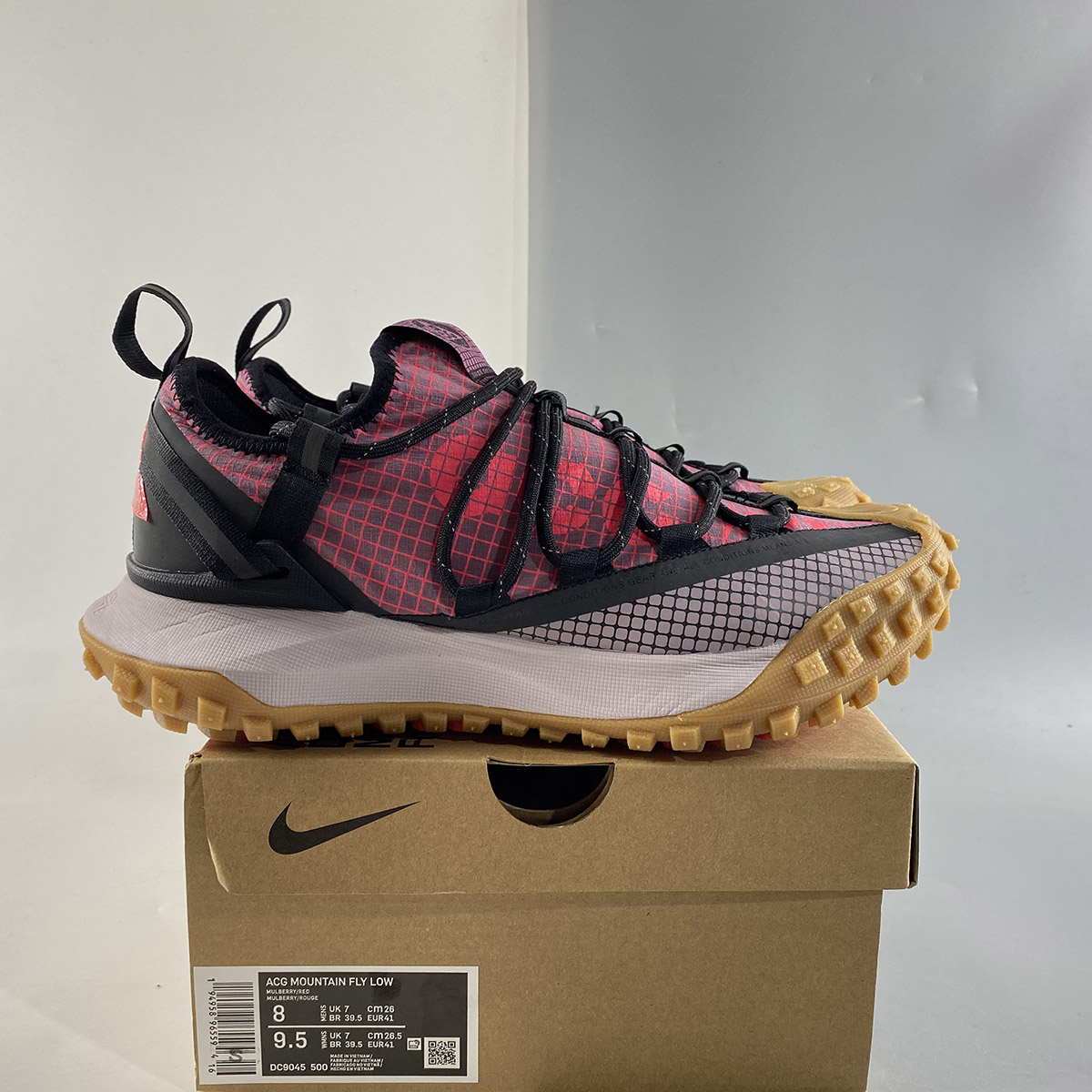 Fly low 2 nike acg