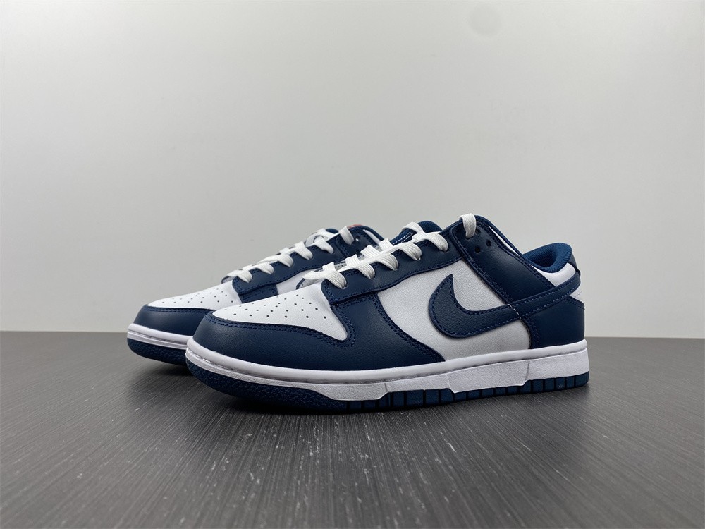 Nike-Dunk-Low-USA-Valerian-Blue-White-For-Sale-2