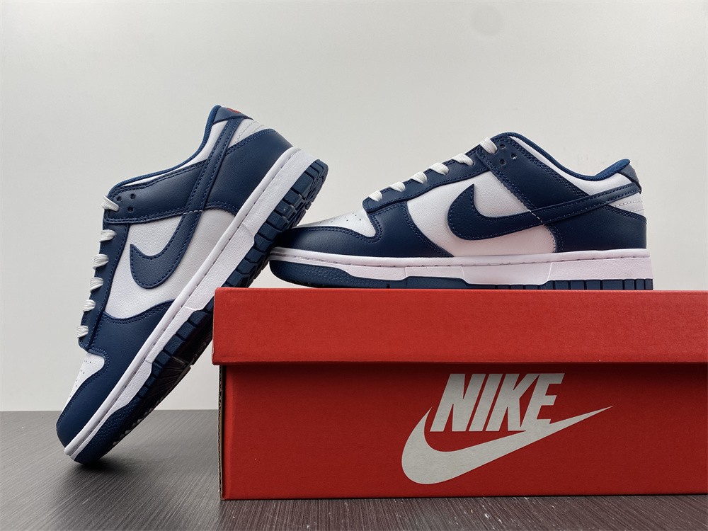 Nike-Dunk-Low-USA-Valerian-Blue-White-For-Sale-3