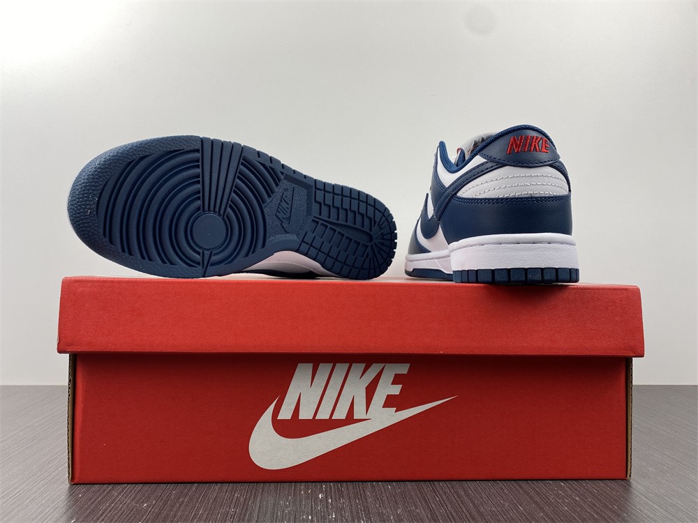 Nike-Dunk-Low-USA-Valerian-Blue-White-For-Sale-4