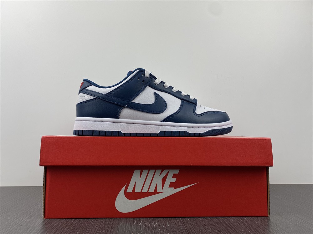Nike-Dunk-Low-USA-Valerian-Blue-White-For-Sale-5