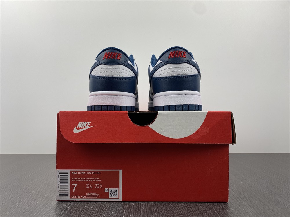 Nike-Dunk-Low-USA-Valerian-Blue-White-For-Sale-6
