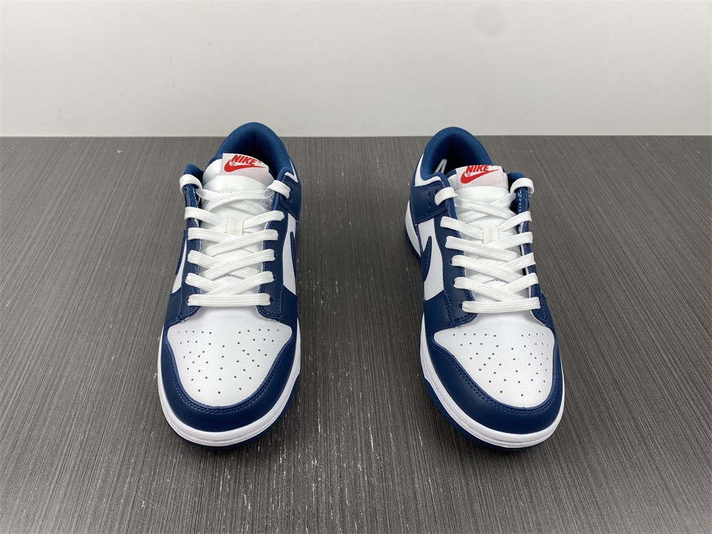 Nike-Dunk-Low-USA-Valerian-Blue-White-For-Sale-9