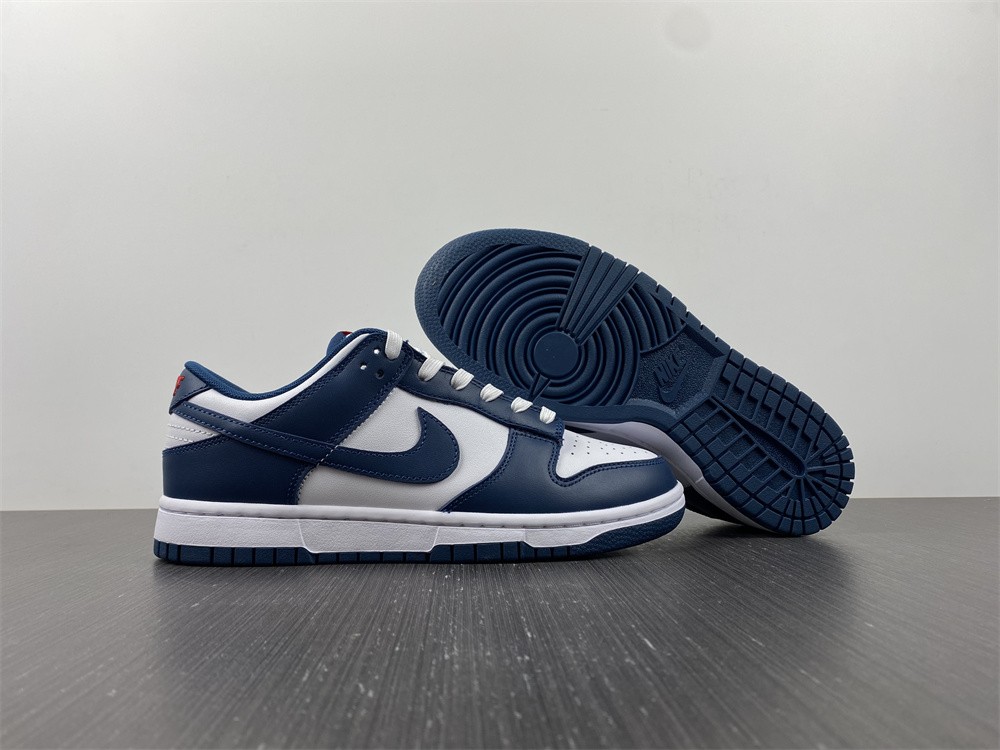 Nike-Dunk-Low-USA-Valerian-Blue-White-For-Sale